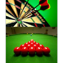HW Darts and Snooker Society