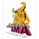 American Marketing Association
