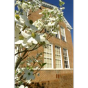 Department of History, Political Science and Geography 